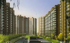 Beijing ivgl golden family